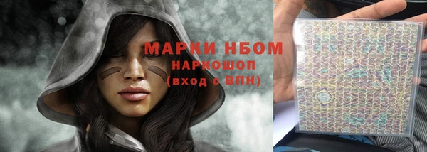 трава Новозыбков